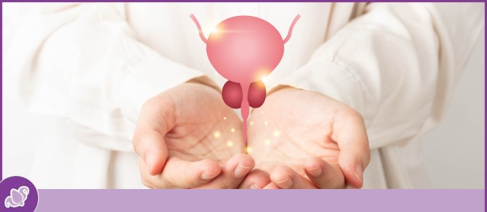 Urinary Incontinence Treatment Near Me in Austell, GA Urinary Incontinence Treatment Near Me in Austell, GA